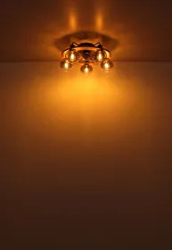 Ventilateur métal noir mat et lampe - Lamotta