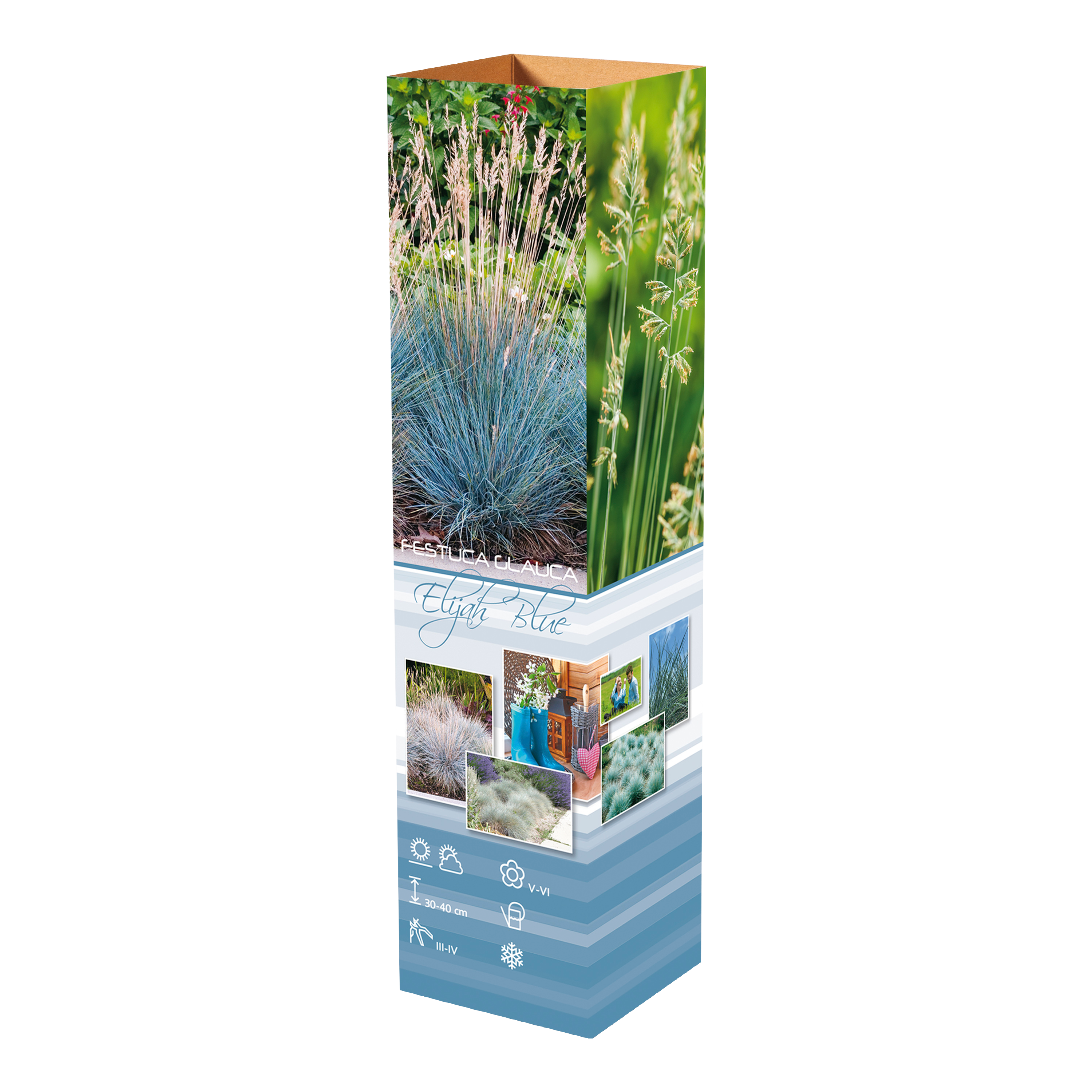 Lot de 8 graminées : 2 Stipa, 2 Pennisetum, 2 Imperata, 2 Festuca - 20-38 cm