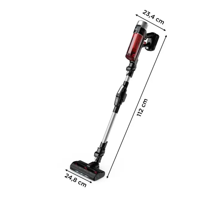 Rowenta Aspirateur Balai RH2077WO X-Force Flex 9.60 kit allergie