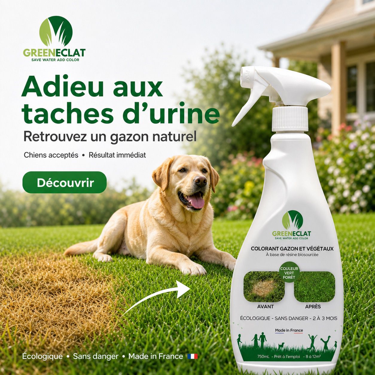 Colorant naturel gazon et thuyas vert forêt - résultat immédiat - 750ml
