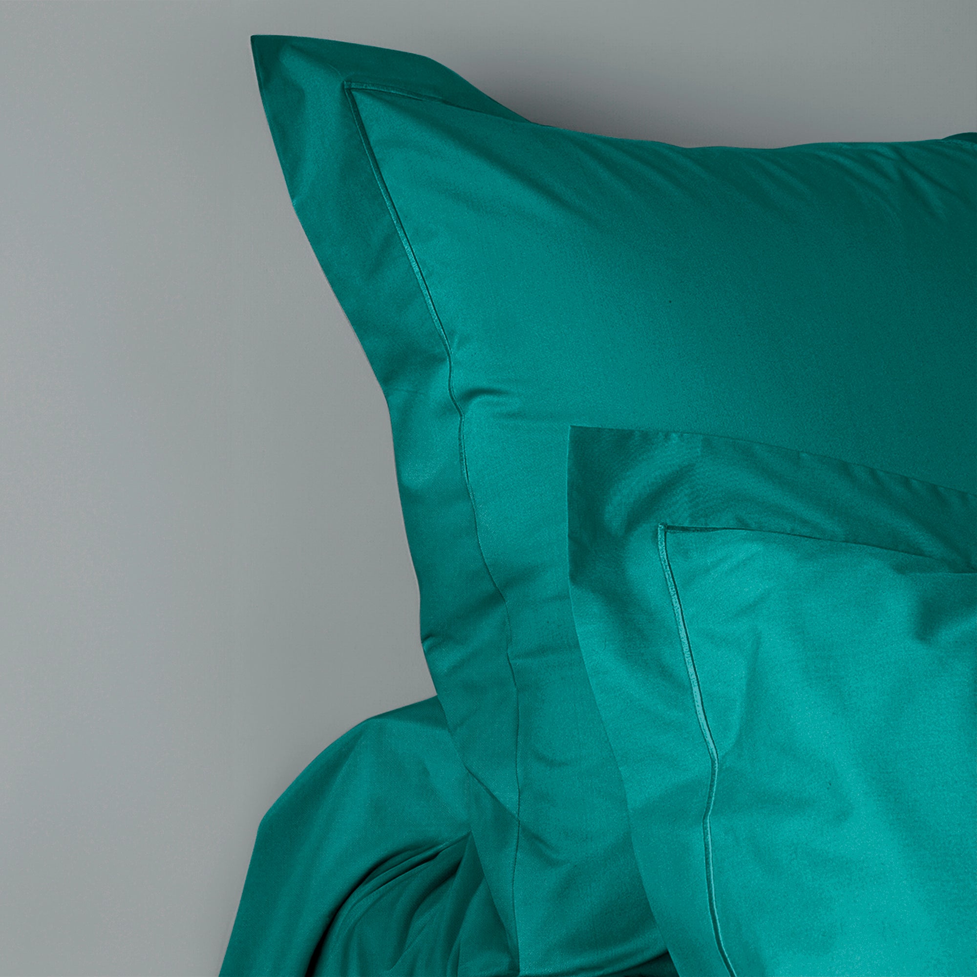 Taie d'oreiller Percale 65 x 65 cm Pur Coton Peigné Longues Fibres 80 Fils/cm² Paon