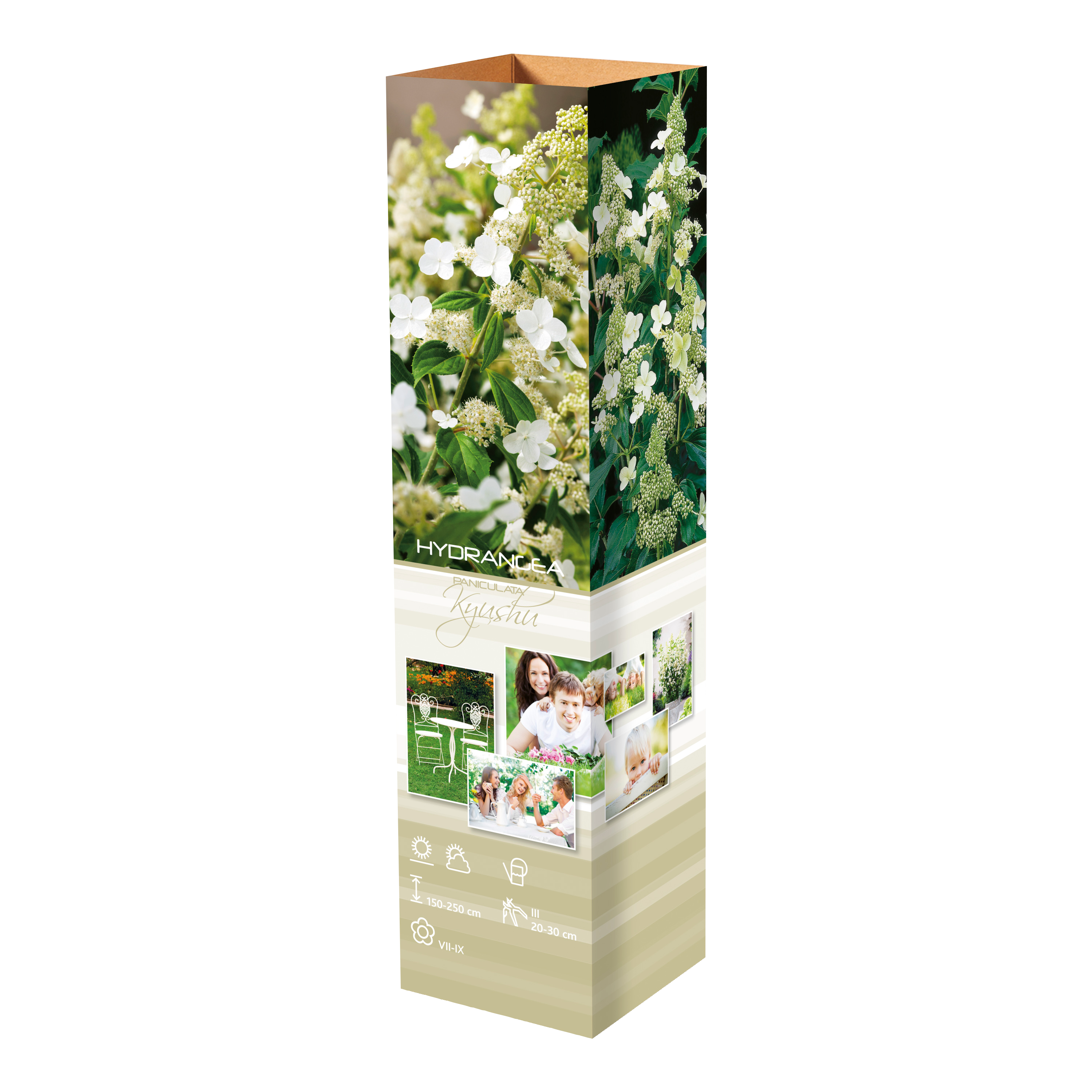Lot de 4 hortensias : 1 rose blanc,  1 rose, 1 bleu, 1 blanc - 30-38 cm