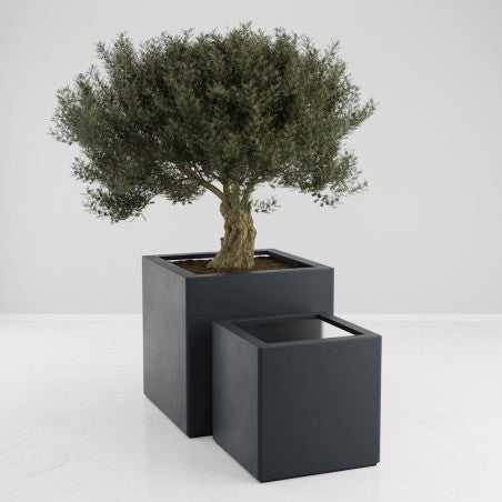 Jardinière carrée Eos - 800 x 800 x 600 mm - Gris anthracite